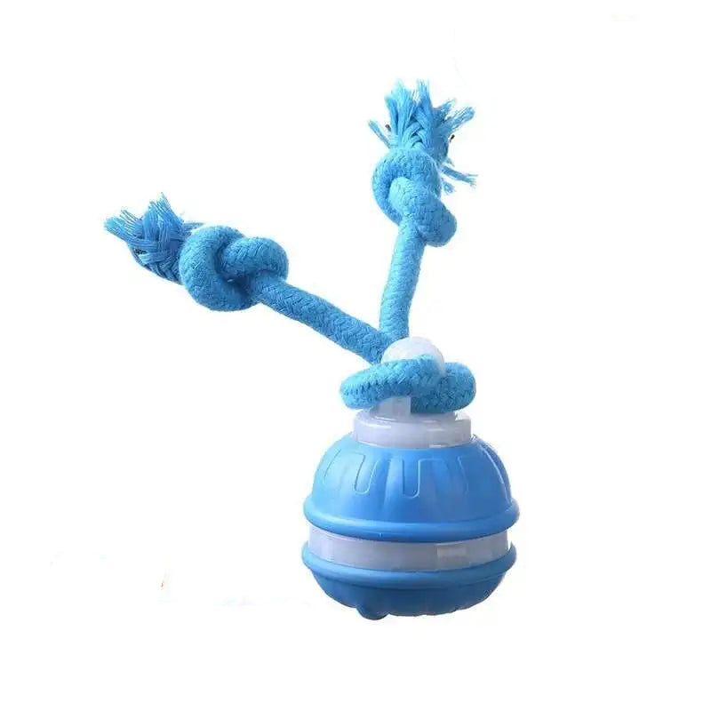 Interaktiv lekboll med rep