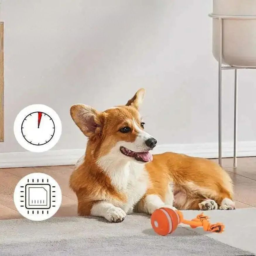 Interaktiv lekboll med rep