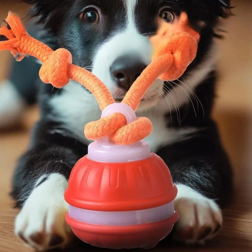 Interaktiv lekeball med tau