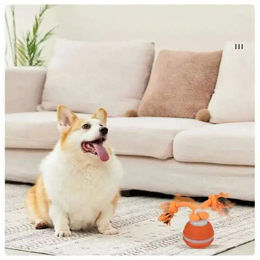 Interaktiv lekboll med rep