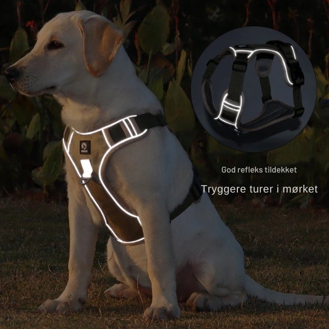 NoPull™ – Vetokontrollivaljas koiralle