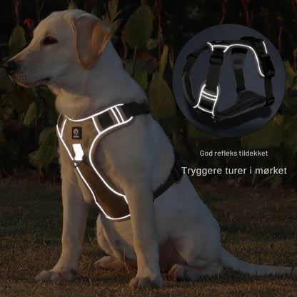 NoPull™ – Vetokontrollivaljas koiralle