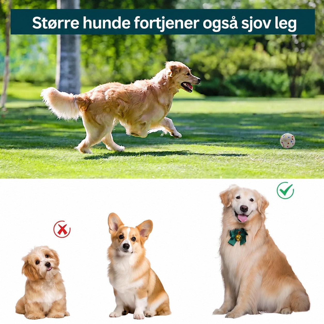 Funzie Pro til større hunde - GodHund