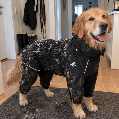 Hunden hjemme etter tur: søle på dressen, tørr pels under