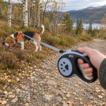 Beagle snuser i lyngen med uttrekkbart hundebånd på høsttur