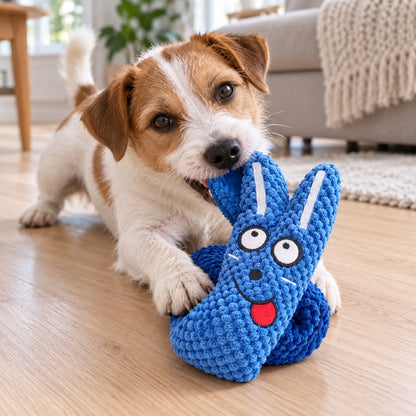 Jack Russell leker med den blå kaninvarianten av lekesnegla på stuegulvet