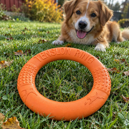 Oransje interaktiv treningsring i EVA, 27 cm, på gresset med hund i bakgrunnen
