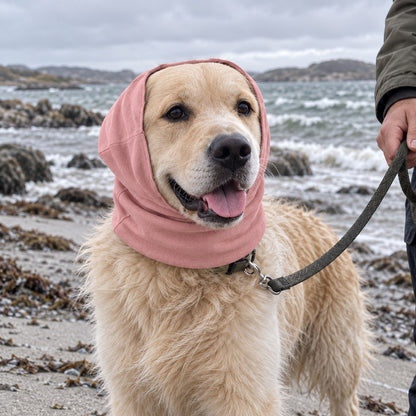 Hund med rosa hundelue over ørene på en vindfull strand