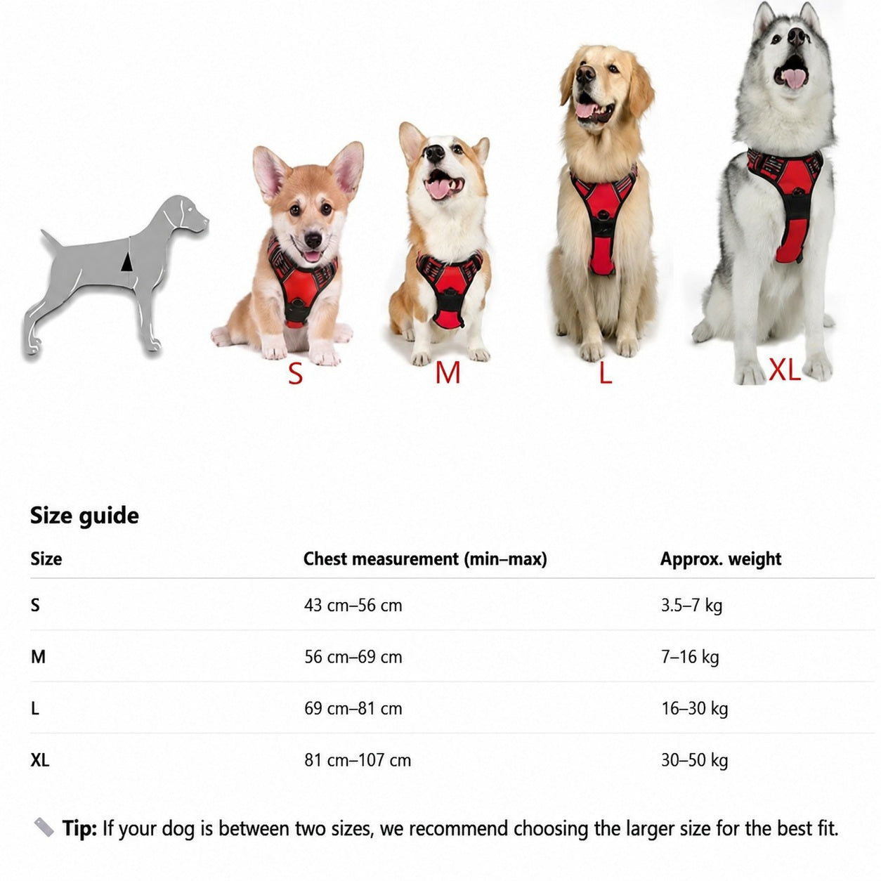 Comfortable Dog Harness with Lead - product image 7