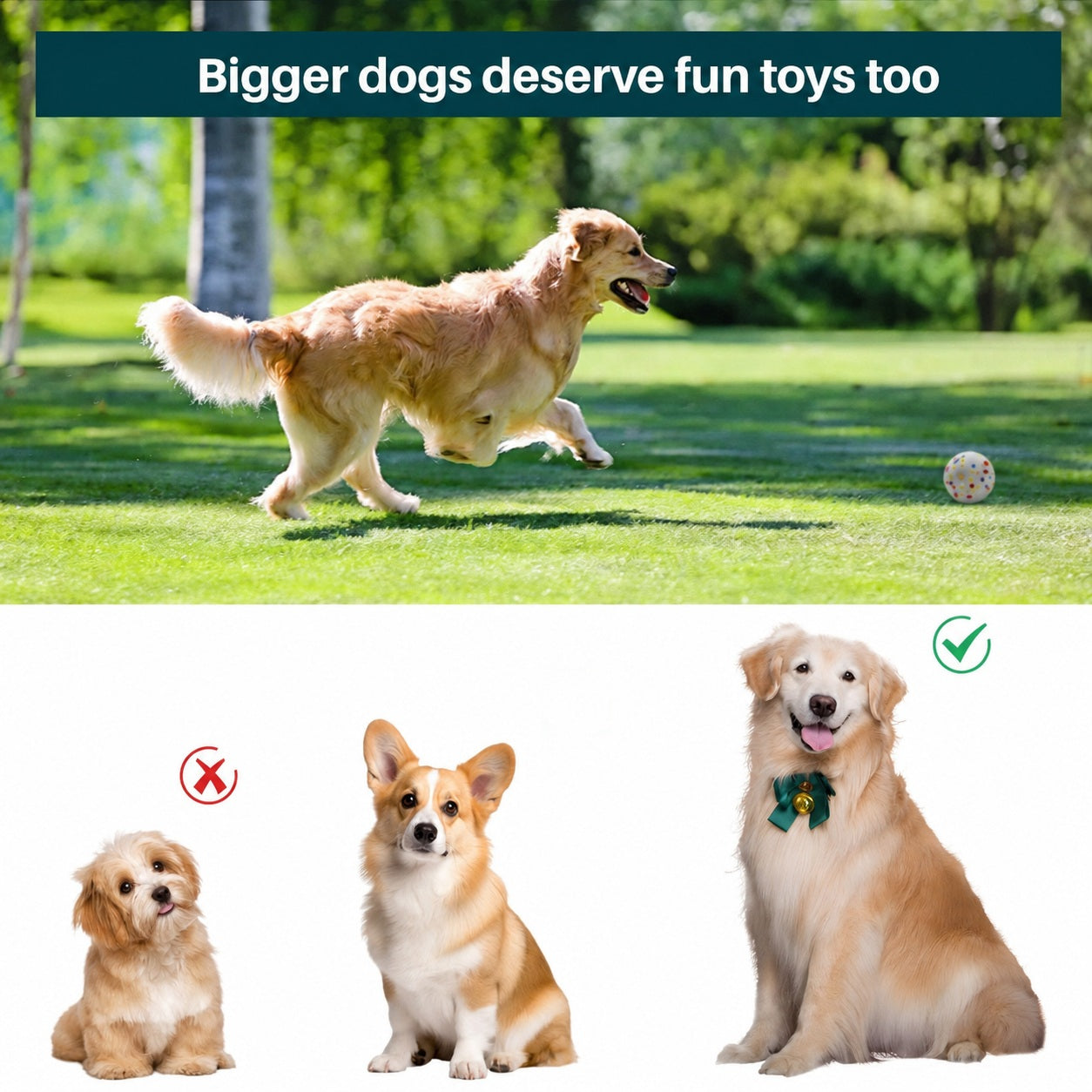 Funzie Pro™ - Automatic Ball Launcher for Dogs of All Sizes - product image 7