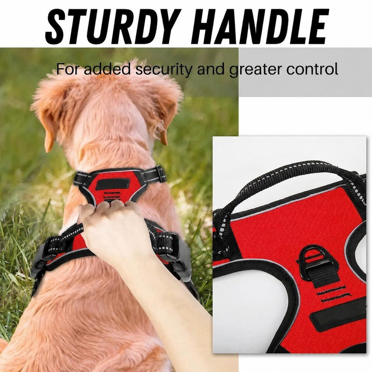 Comfortable Dog Harness with Lead - product image 3
