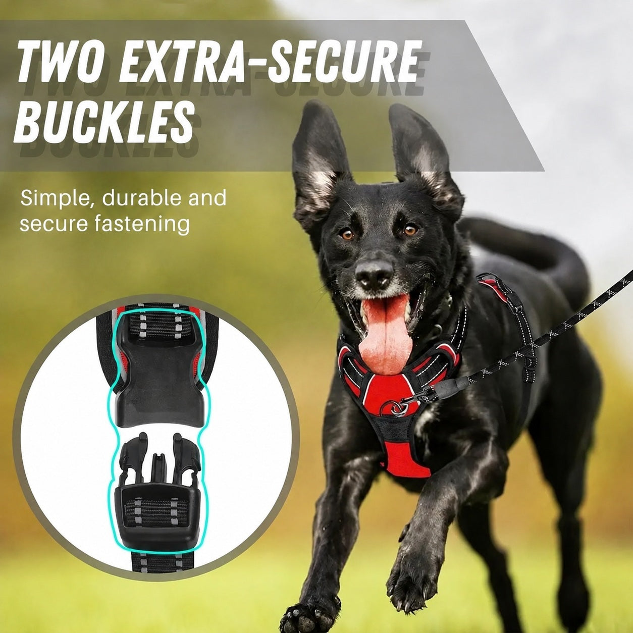 Comfortable Dog Harness with Lead - product image 4