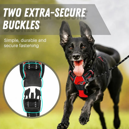 Comfortable Dog Harness with Lead - product image 4