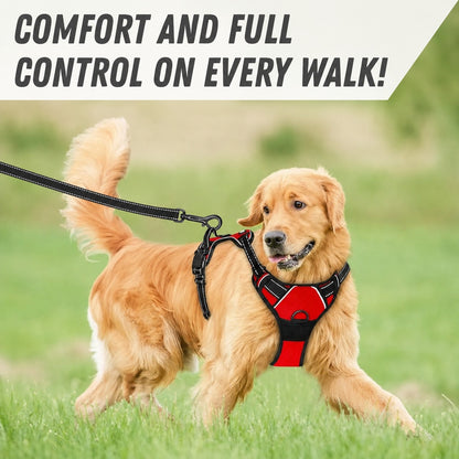 Comfortable Dog Harness with Lead - product image 5