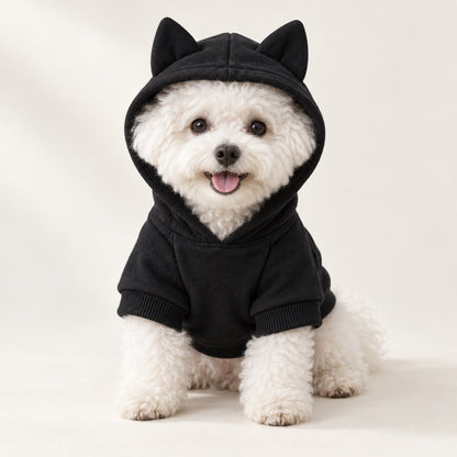 Liten hvit bichon frise med sort hettegenser på, ren studiobakgrunn