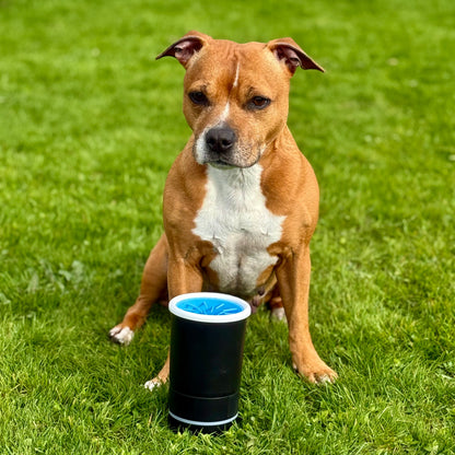 PawSwirl™ - Automaattinen ja tehokas tassupesuri