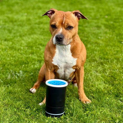 PawSwirl™ - Automatisk och effektiv tassrengöring