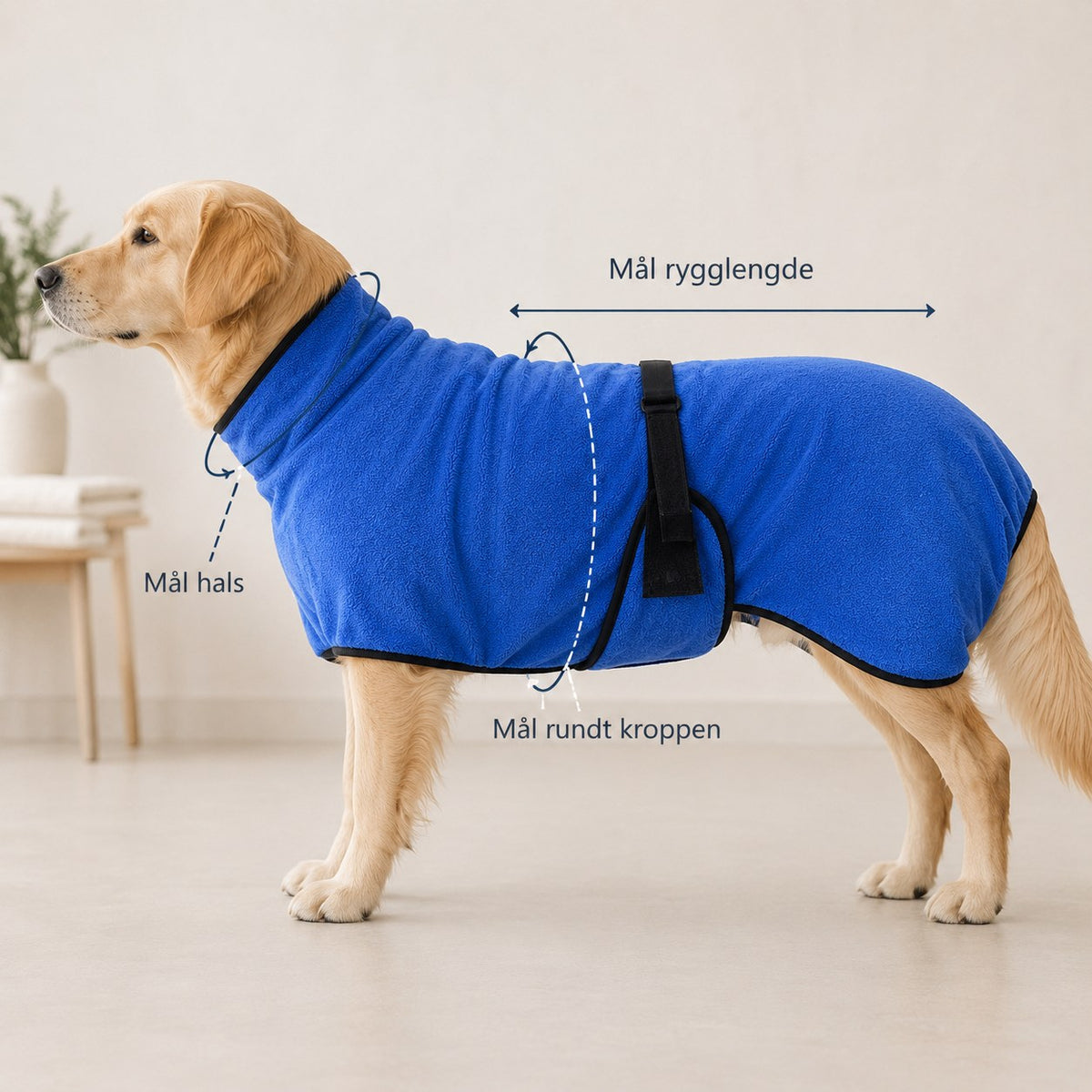 Slik måler du hunden før du velger TørrPels størrelse