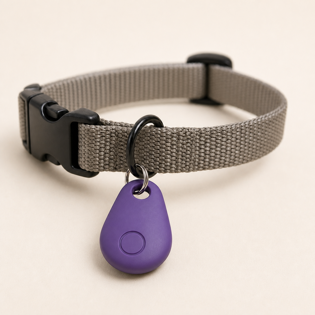 Spårningsbricka för hund, lila variant