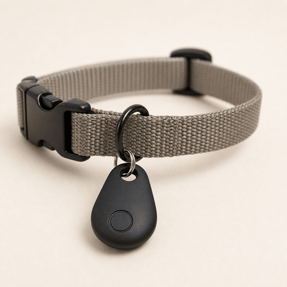 Sporingsbrik til hund – hovedbillede